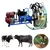 Single Bucket (25 Litres) Milking Machine With 0.75HP Motor & 6.5HP Engine
